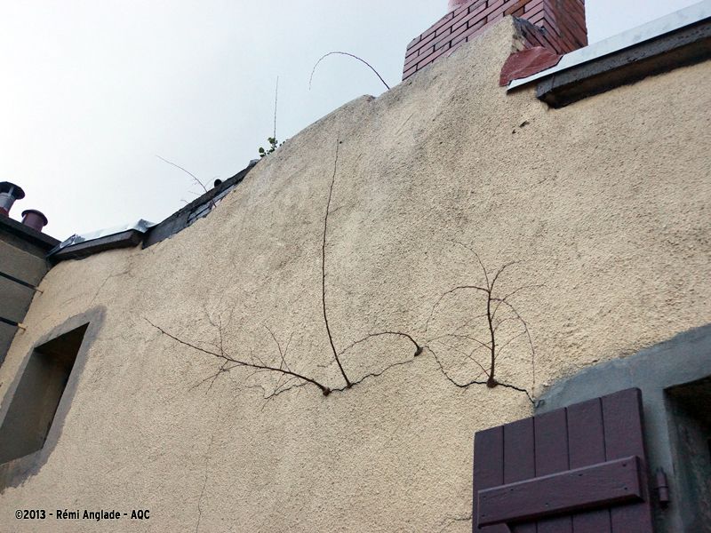 Fissure façade@Rémi Anglade](/images/cms/medium/fb0035f2-9072-4550-b292-968718ea850e.jpg "