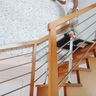 DL Peinture 35