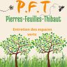 Pierres-Feuilles-Thibaut