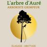 AKEHAL AURÉLIEN