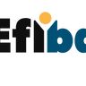 EFI BAT EST