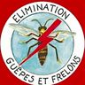 Élimination guêpes et frelons