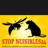 Stop nuisibles 24