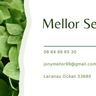 MELLOR JONATHAN