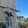 Global Project Construction