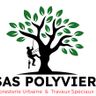 POLYVIER