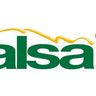 ELECT CALSA TS