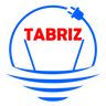 TABRIZ ELEC