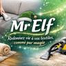 Mr Elf
