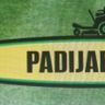 Padijardins