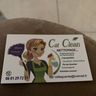 CAT CLEAN
