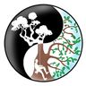 Graine d’Arbre