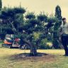 AU JARDIN D AURELIEN