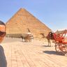 EL SAYED MOHAMED