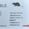 KL NUISIBLE
