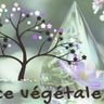 ESSENCE VÉGÉTALE