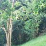 JARDIN VILLAAPPART NETTOYAGE BCBG