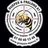 GUEPES   FRELONS 87