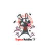 URGENCE NUISIBLES 13