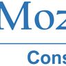 MOZ'ART CONSTRUCTION