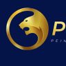 OPTIMAX BTP