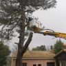 HAMHAM NETTOYAGE ET ESPACES VERTS