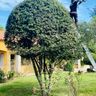 LES JARDINS D ALEX