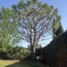Jardin d’Alain