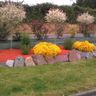 SARL GARDIN THUILLET