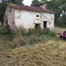 NATUR O PARC