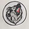 P S I  PROTECTION SURETE INTERVENTION