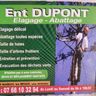 Dupont levy