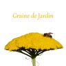 EI Graine de Jardin