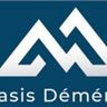 ALPES MASIS DEMENAGEMENT