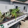 AC JARDIN DESIGN