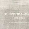 Ciccone anthony