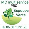 MC MULTISERVICE