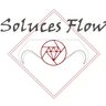 SOLUCES FLOW