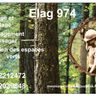 ELAG 974