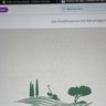 Corse_jardin