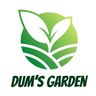 DUM'S GARDEN