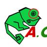ALBI CAMELEON SERVICES