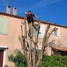 Jcs jardins