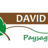 DAVID PAYSAGES