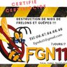 FGN11
