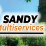 BAUMGARTEN SANDY