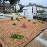 PH environnement