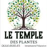 LE TEMPS DES PLANTES
