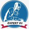 Expert01