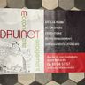 Druinot mt